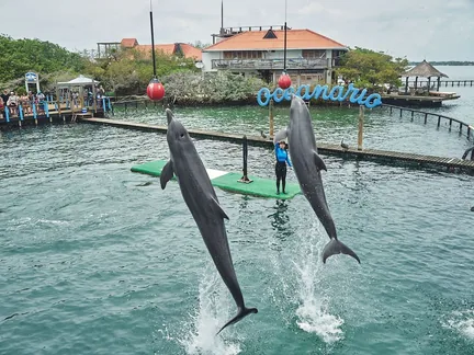 3 Islas + Oceanario — 2